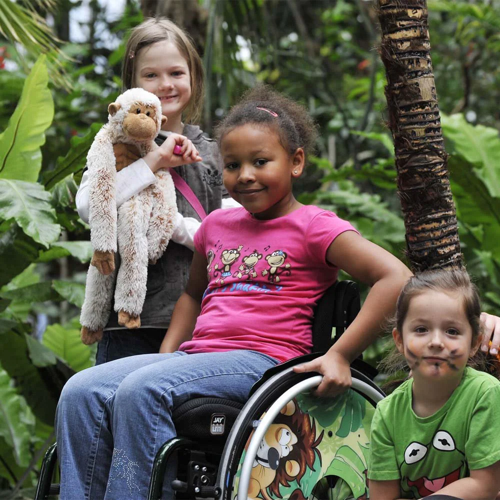 zippie simba childrens lightweight rigid wheelchair for sale zippie simba childrens lightweight rigid wheelchair for sale
