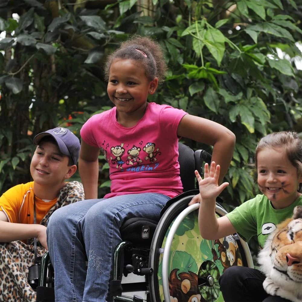 zippie simba childrens lightweight rigid wheelchair for sale zippie simba childrens lightweight rigid wheelchair for sale